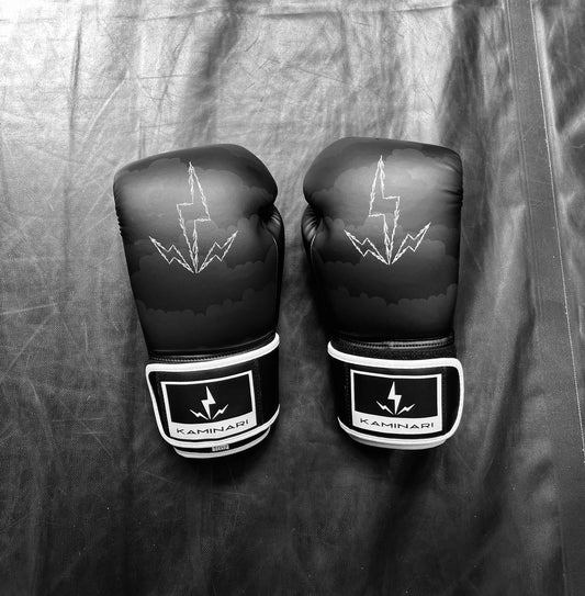 Gants de boxe